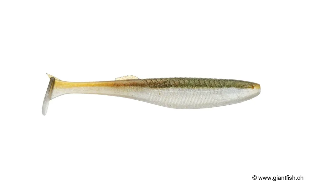 Arkansas Shiner (ASH)