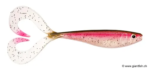 Rapala Leurre