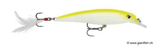 Rapala Leurre de pêche XR