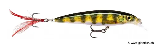 Rapala Leurre de pêche XR