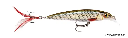 Rapala Leurre de pêche XR