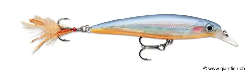 Rapala Leurre de pêche XR