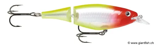 Rapala X-Rap Jointed Shad