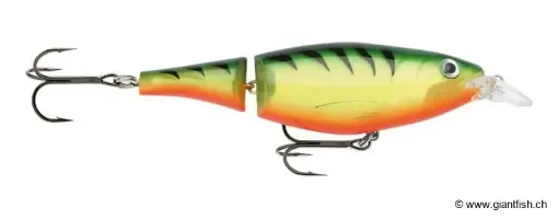 Rapala X-Rap Jointed Shad