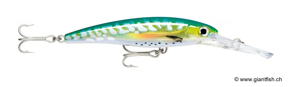 Shark Mackerel UV (SHMU)