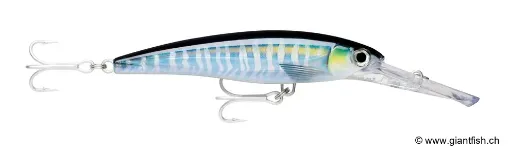 Rapala X-RAP® MAGNUM®