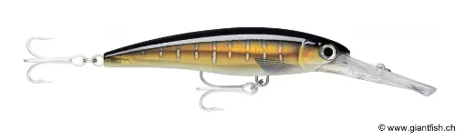 Rapala X-RAP® MAGNUM®