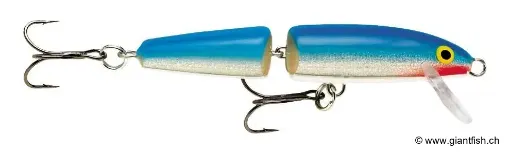 Rapala Leurre de pêche