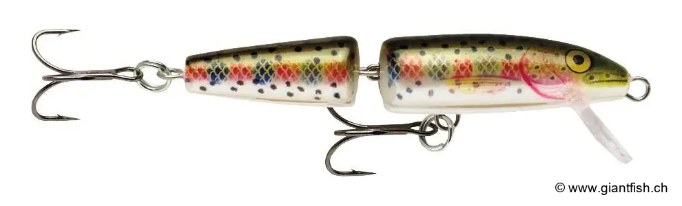 Rainbow Trout (RT)