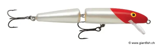 Rapala Leurre de pêche