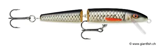 Rapala Leurre de pêche