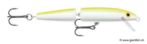 Rapala Leurre de pêche