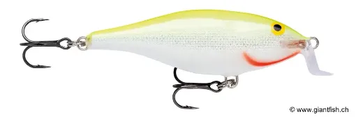 Rapala Leurre de pêche Shallow Shad Rap