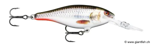 Rapala Leurre de pêche Shad Rap