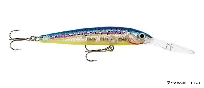 Glass Blue Minnow (GBM)