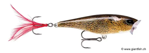 Rapala Leurre de pêche Skitter Pop