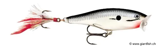 Rapala Leurre de pêche Skitter Pop