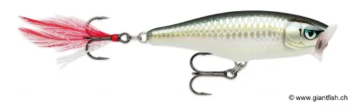 Rapala Leurre de pêche Skitter Pop