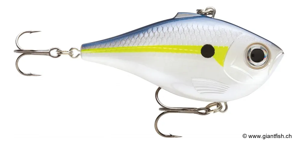 Helsinki Shad (HSD)