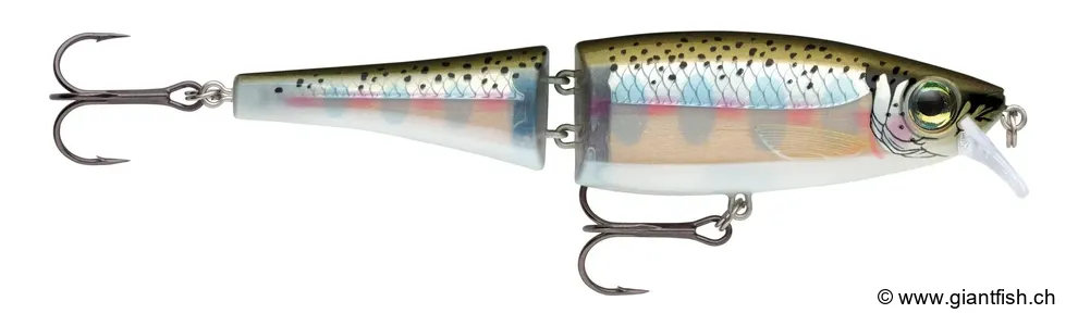 Rainbow Trout (RT)