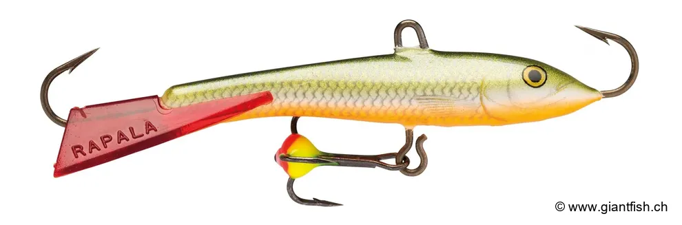 Redfin Shiner (RFSH)