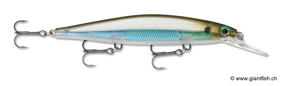 Moss Back Shiner (MBS)