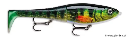 Rapala XRPT Leurre de pêche