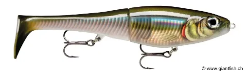 Rapala XRPT Leurre de pêche