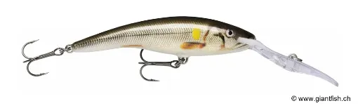 Rapala Leurre de pêche