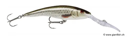 Rapala Leurre de pêche