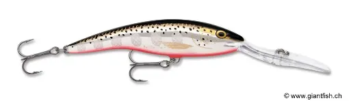 Rapala Leurre de pêche