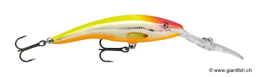 Rapala Leurre de pêche