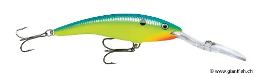 Rapala Leurre de pêche