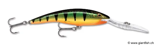 Rapala Leurre de pêche