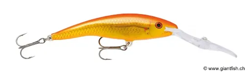 Rapala Leurre de pêche