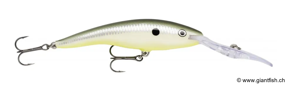 Glow Grey Shiner (GGS)