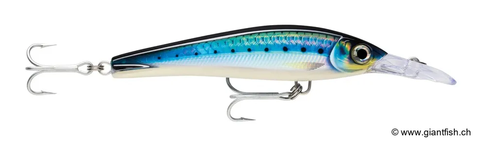 HD Blue Sardine (HDBSRD)