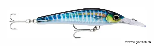 Rapala XRMAGXT160