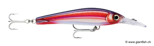 Rapala XRMAGXT160