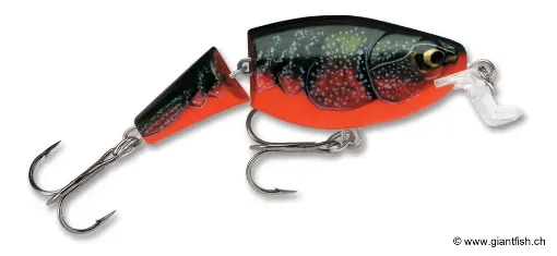 Rapala Leurre de pêche Jointed Shallow Shad Rap