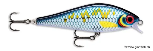 Rapala SSDR11