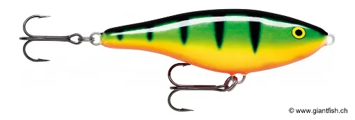 Rapala Leurre de pêche TWR12