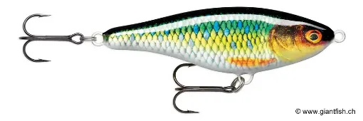 Rapala Leurre de pêche TWR12