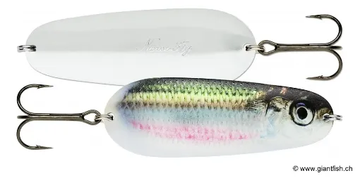 Rapala Leurre Nageur