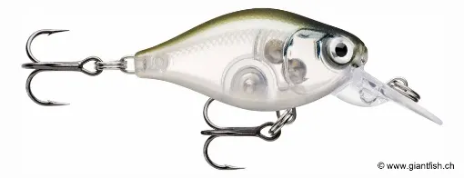 Rapala Leurre