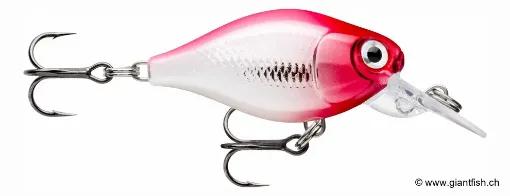 Rapala Leurre