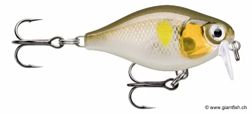 Rapala Leurre de pêche CountDown