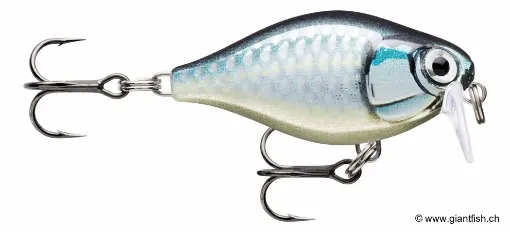 Rapala Leurre de pêche CountDown