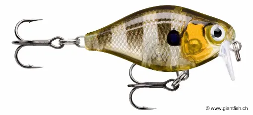 Rapala Leurre de pêche CountDown