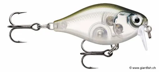 Rapala Leurre de pêche CountDown